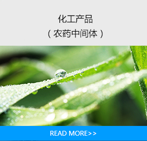 湖南經(jīng)世新材料